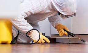 Best Pest Control for Multi-Family Homes  in Arlington, TX